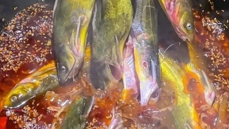 入室抢婴贩卖案受害者家属发声,正版澳门管家婆资料大全蜜桃,决策资料解释落实_专家版V3.16