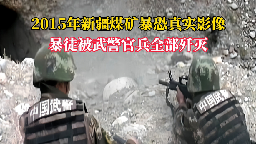 林书豪以主教练身份出场,2025澳门资料大全免费网站,经典解释落实_工具版V15.85