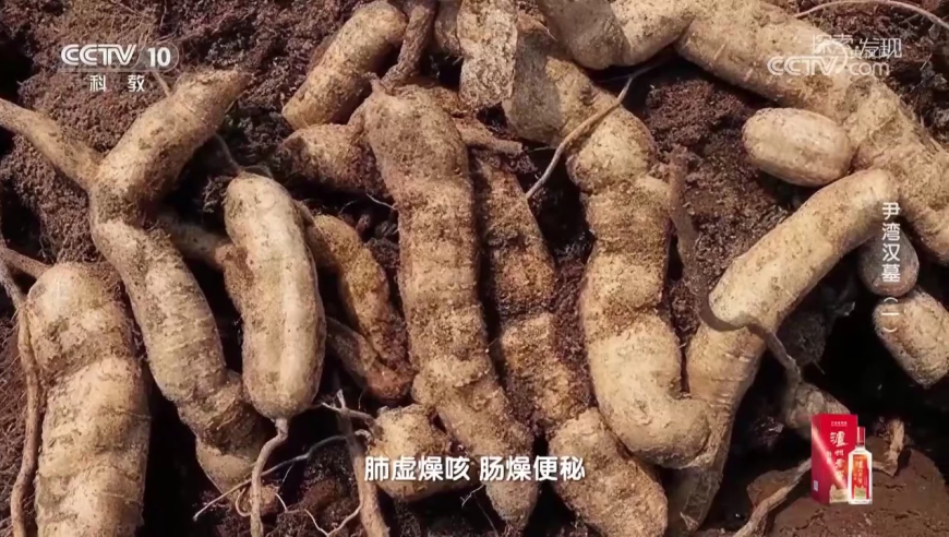 励志女孩带家人逆天改命,管家婆三肖一码,展开解析落实_权威版V6.91